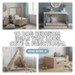 10 Dog Bedroom Ideas That Look Cute & Functional