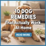 10 Dog Remedies That Actually Work at Home