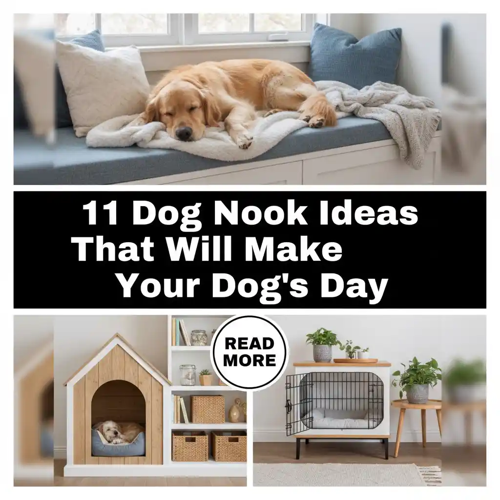 11 Dog Nook Ideas That Will Make Your Dog’s Day