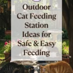 15 Outdoor Cat Feeding Station Ideas for Safe & Easy Feeding