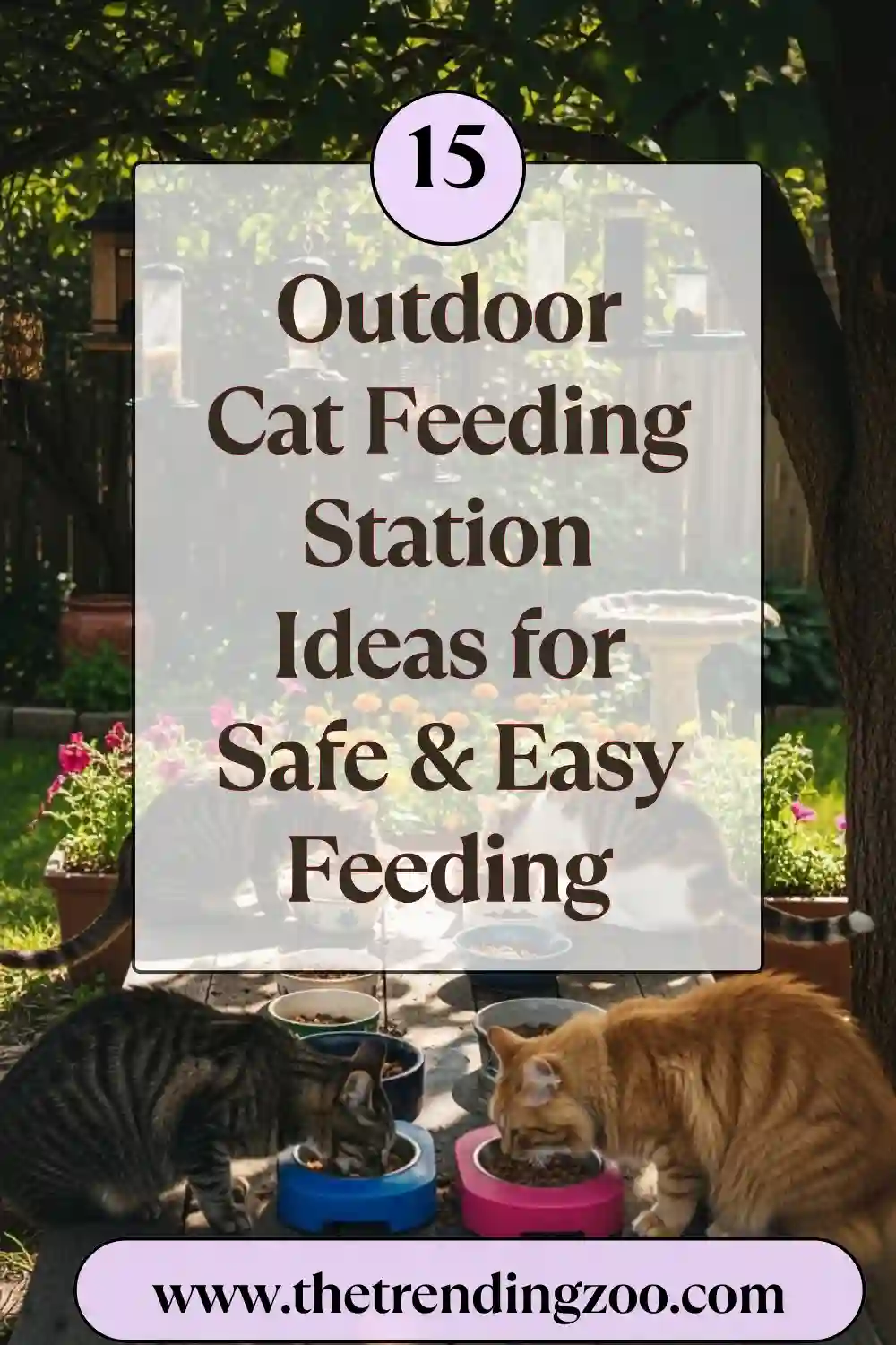 15 Outdoor Cat Feeding Station Ideas for Safe & Easy Feeding
