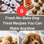 9 Fresh No-Bake Dog Treat Recipes You Can Make Anytime