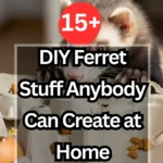 15+ DIY Ferret Stuff Anybody Can Create at Home