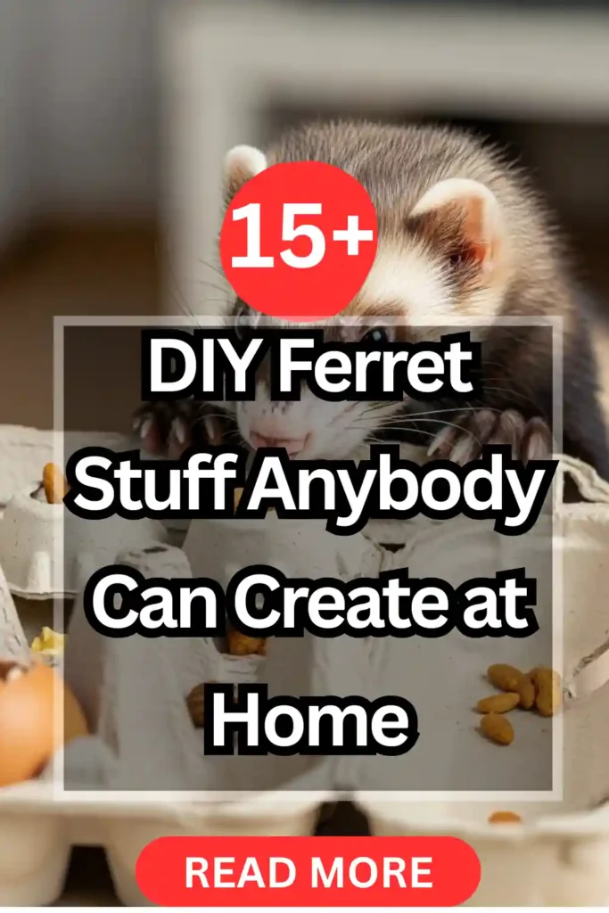 15+ DIY Ferret Stuff Anybody Can Create at Home