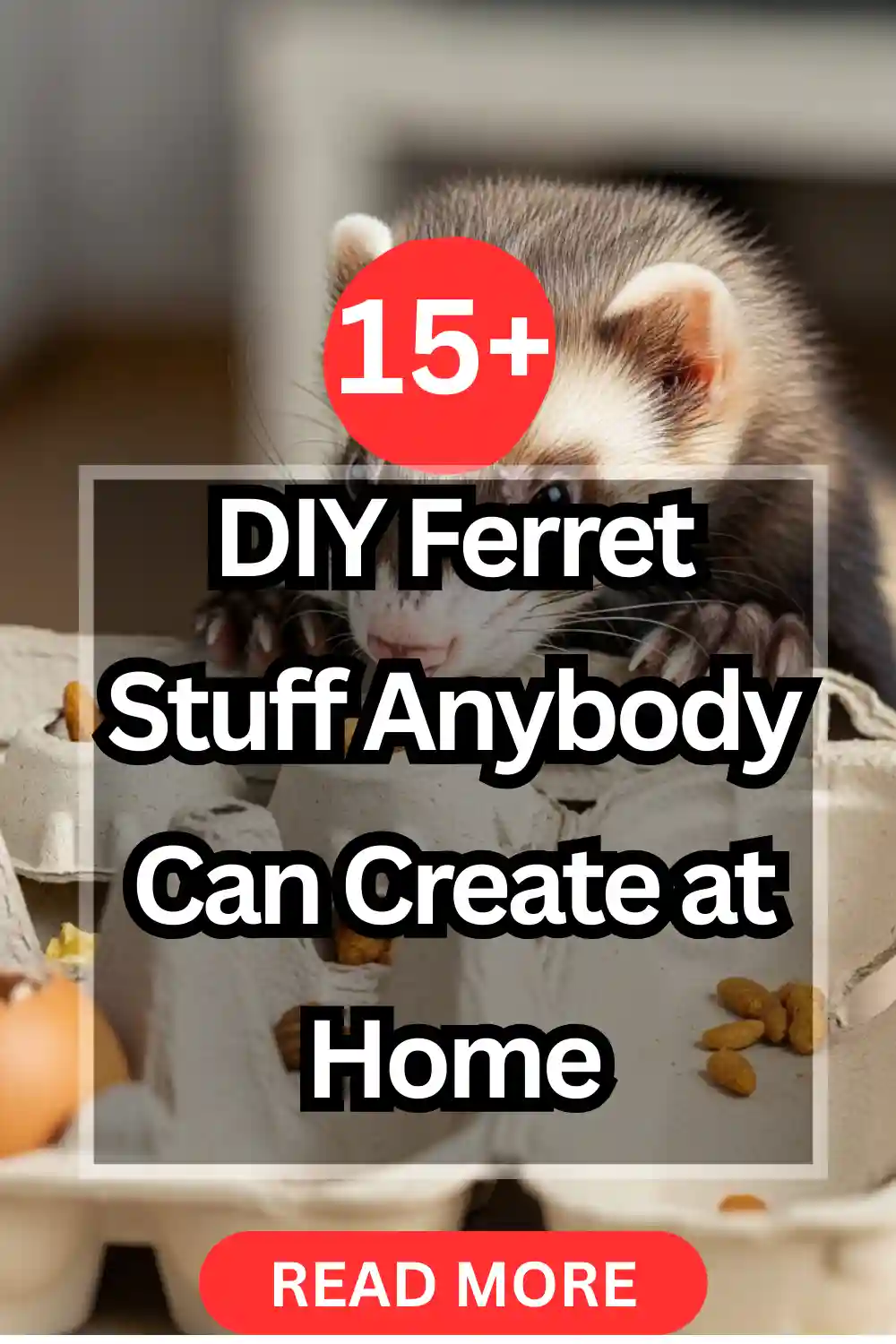 15+ DIY Ferret Stuff Anybody Can Create at Home