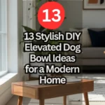 13 Stylish DIY Elevated Dog Bowl Ideas for a Modern Home