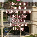 10+ Beautiful Outdoor Rabbit Hutch Ideas for Stylish Backyard Living