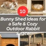 10 Bunny Shed Ideas for a Safe & Cozy Outdoor Rabbit Space