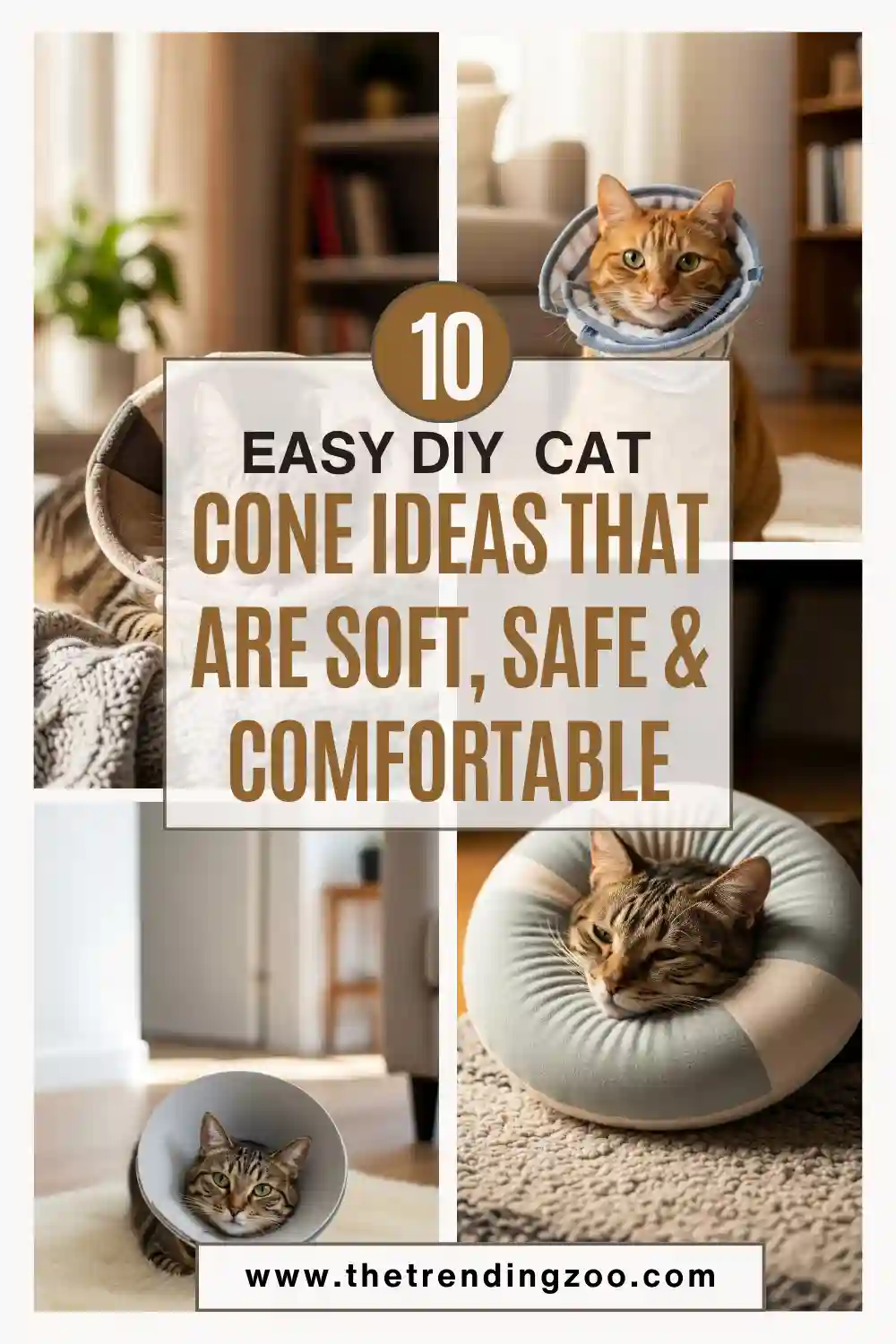 10 Easy DIY Cat Cone Ideas That Are Soft, Safe & Comfortable