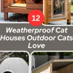 12 Weatherproof Cat Houses Outdoor Cats Love
