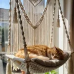 8 Stylish Cat Window Perch Ideas That Match Your Home Decor