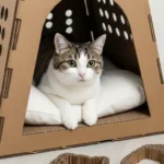 11 Cardboard Cat House DIY Ideas That Feel Cozy & Fun